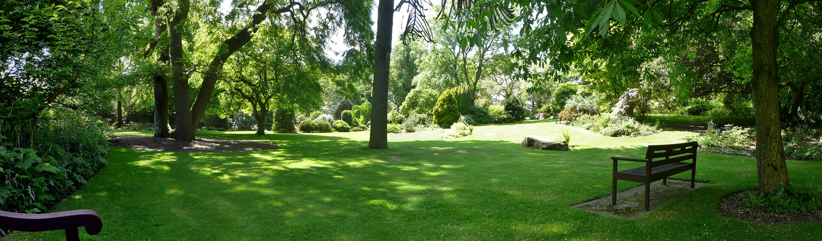 14320556063_f3098be638_h